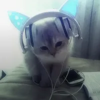 original sound - 1dk.68