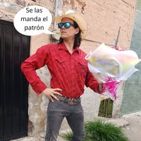 sonido original