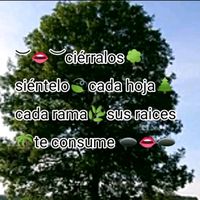 sonido original