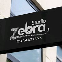 zebraphotostudios