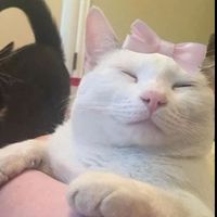 why is everyone using my sound wtf