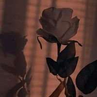 not_your_prince06