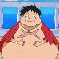 luffygordostore