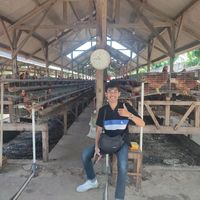 suara asli - Dimskuyyyy