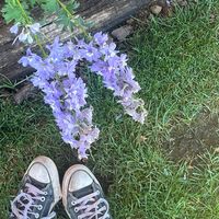 hearing...sleeping at last