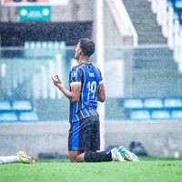 pkdobota