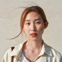 nethdao_channel