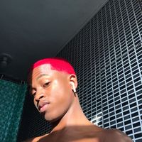 p_novin01