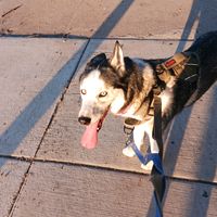 chucky.on9oclocknews