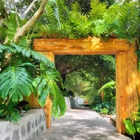 original sound - cornhomes