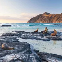 original sound - inecuador