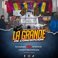 lagrandedeconcepcion