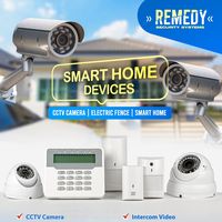 remedysecuritysystems