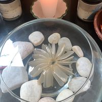 triplettbriannanicole