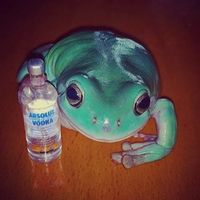 frog.enthusiast26