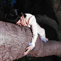 Tiny Desk No One Noticed Extended