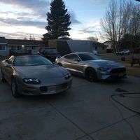 lovin_loud