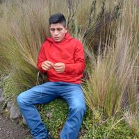 sonido original