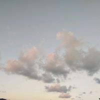 giorgia_459