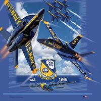 usnavyblueangels_