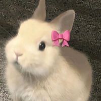 your.beautiful.girl.my.g