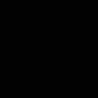 ana_s.4