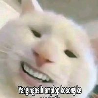 yohzeememe6
