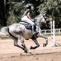 equestriananna01