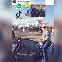 original sound - peechochaa