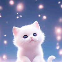 abrar.mohammed003