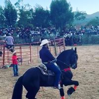 ranchorg1