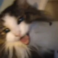 original sound - mariagoddess7