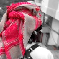 user156615184016