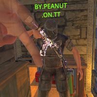 slammed.by.peanut