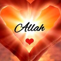 user4600681747207