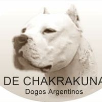 dogos.arg.de.chakrakuna