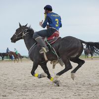 оригинальный звук
