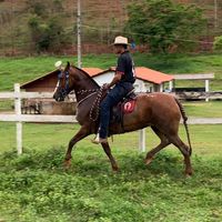 jhonim_treinador