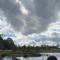 silverlining444