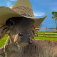 original sound - jesusescalonas123