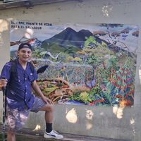 vamos1alvolcan