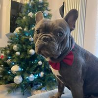 alessia_toto_official