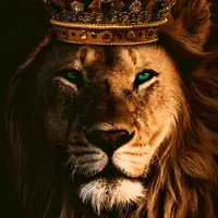 original sound - _mentes__blindadas_