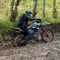 tulcanalbertocarl