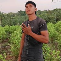 andersondiaz4117