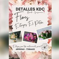 detalleskdc.10