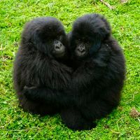 youbringmejoybyanita