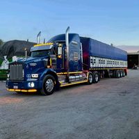 trailero_desde_la_cuna