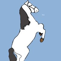 horse_mimi10