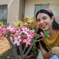 original sound - deldesiertoflorjardinera